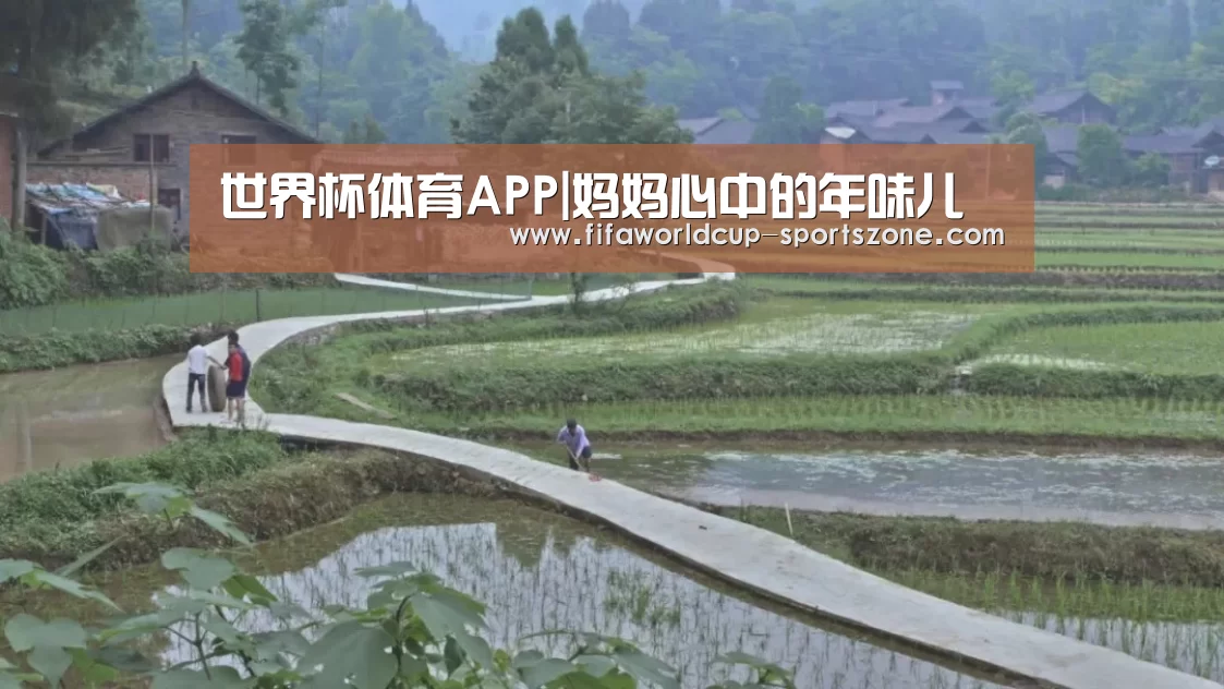 世界杯体育APP|妈妈心中的年味儿(图2) FIFA World Cup