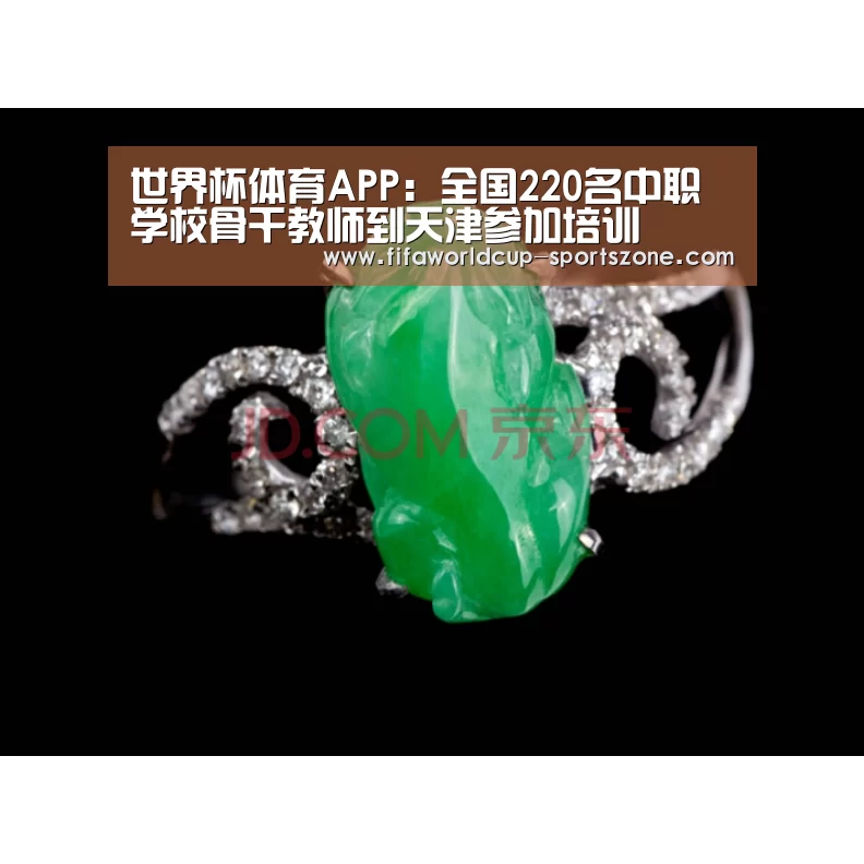 世界杯体育APP:全国220名中职学校骨干教师到天津参加培训(图2) 世界杯电竞