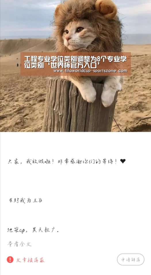 工程专业学位类别调整为8个专业学位类别‘世界杯官方入口’(图1) FIFA World Cup