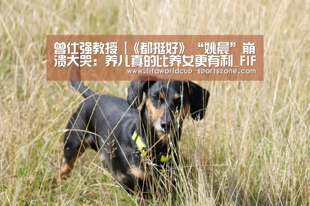 曾仕强教授 |《都挺好》“姚晨”崩溃大哭:养儿真的比养女更有利_FIFA World Cup(图1) 世界杯官方入口